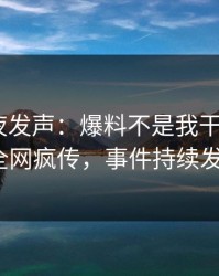 网红深夜发声：爆料不是我干的！pixiv全网疯传，事件持续发酵