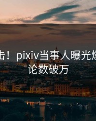 深夜直击！pixiv当事人曝光爆料，评论数破万