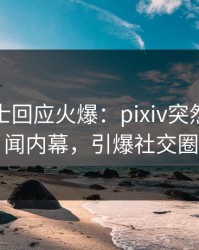 业内人士回应火爆：pixiv突然爆出丑闻内幕，引爆社交圈