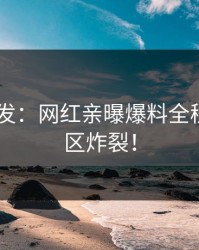 Pixiv突发：网红亲曝爆料全程，评论区炸裂！