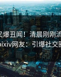 神秘人又爆丑闻！清晨刚刚流出真相，pixiv网友：引爆社交圈