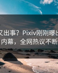 神秘人又出事？Pixiv刚刚曝出PZhan内幕，全网热议不断