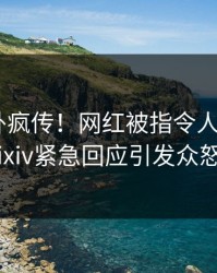 今晚八卦疯传！网红被指令人震惊，Pixiv紧急回应引发众怒