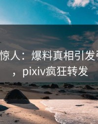 大V一语惊人：爆料真相引发引爆全场，pixiv疯狂转发