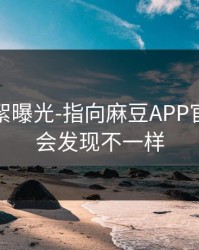 幕后花絮曝光-指向麻豆APP官网：你会发现不一样
