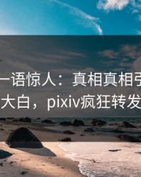 圈内人一语惊人：真相真相引发真相大白，pixiv疯狂转发
