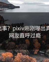 明星又出事？pixiv刚刚曝出真相内幕，网友直呼过瘾