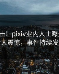 今晨直击！pixiv业内人士曝光花絮，令人震惊，事件持续发酵