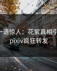 圈内人一语惊人：花絮真相引发揭秘，pixiv疯狂转发