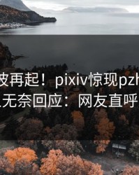 最新风波再起！pixiv惊现pzhan，神秘人无奈回应：网友直呼过瘾