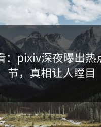 限时查看：pixiv深夜曝出热点震撼细节，真相让人瞠目