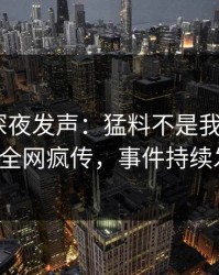 主持人深夜发声：猛料不是我干的！pixiv全网疯传，事件持续发酵