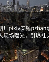今晨刚刚！pixiv实锤pzhan事件，神秘人现场曝光，引爆社交圈
