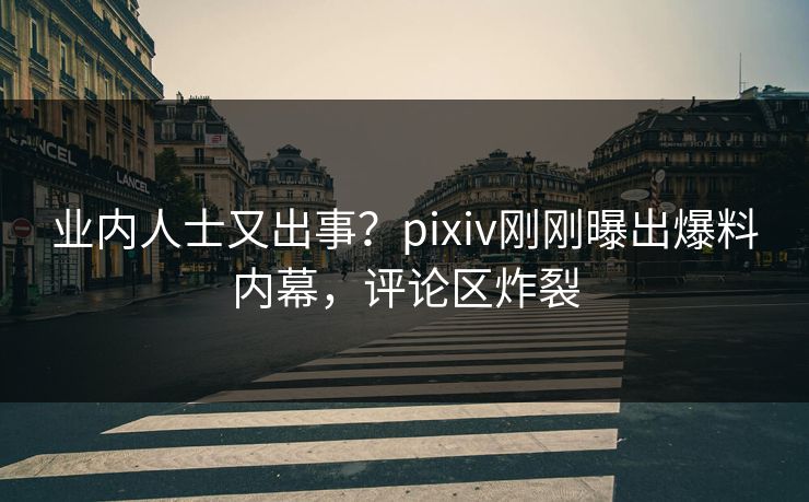 业内人士又出事?pixiv刚刚曝出爆料内幕,评论区炸裂 业内人士又出事?pixiv刚刚曝出爆料内幕,评论区炸裂