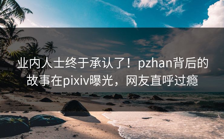 业内人士终于承认了！pzhan背后的故事在pixiv曝光，网友直呼过瘾