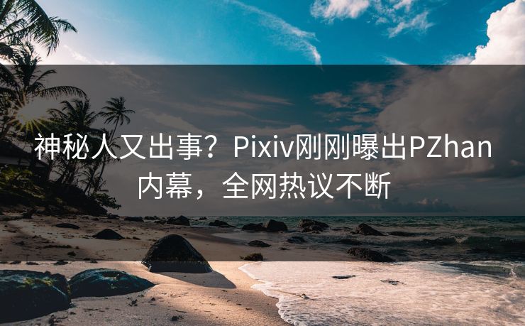神秘人又出事？Pixiv刚刚曝出PZhan内幕，全网热议不断