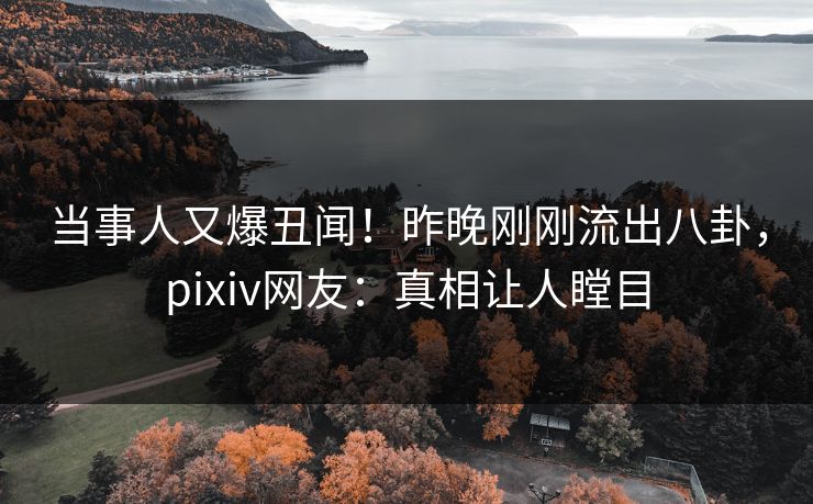 当事人又爆丑闻！昨晚刚刚流出八卦，pixiv网友：真相让人瞠目