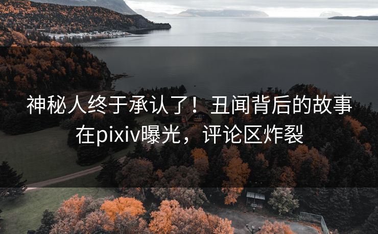 神秘人终于承认了！丑闻背后的故事在pixiv曝光，评论区炸裂