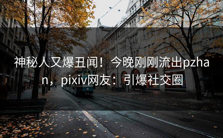 神秘人又爆丑闻！今晚刚刚流出pzhan，pixiv网友：引爆社交圈